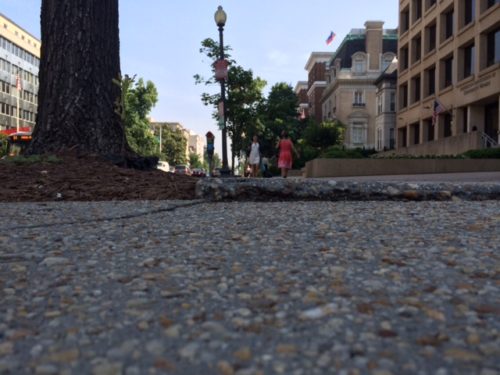 Street-level view of a Washington D.C. sidewalk with buildings and trees on either side. People are walking in the distance, an American flag is visible on a building, and the clear sky enhances the peaceful urban atmosphere—what you should know before exploring further.